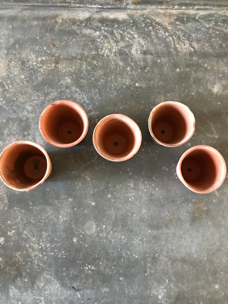 Small Terra Cotta Pot