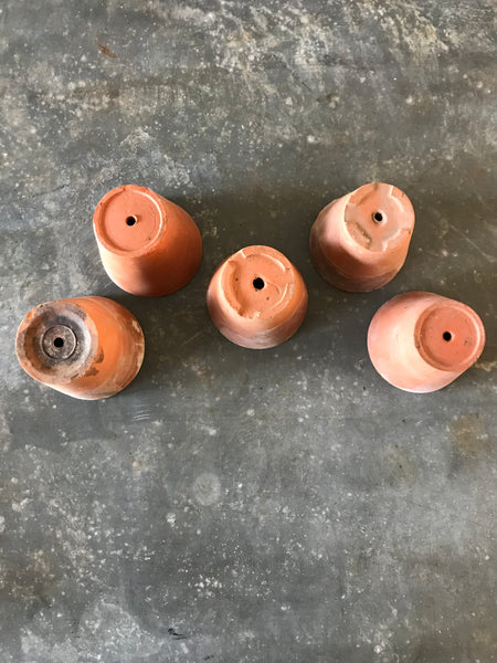 Small Terra Cotta Pot